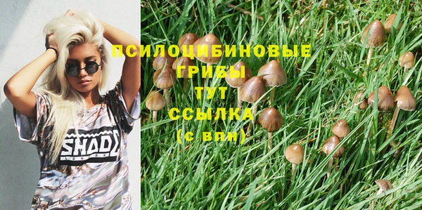 a pvp Олёкминск