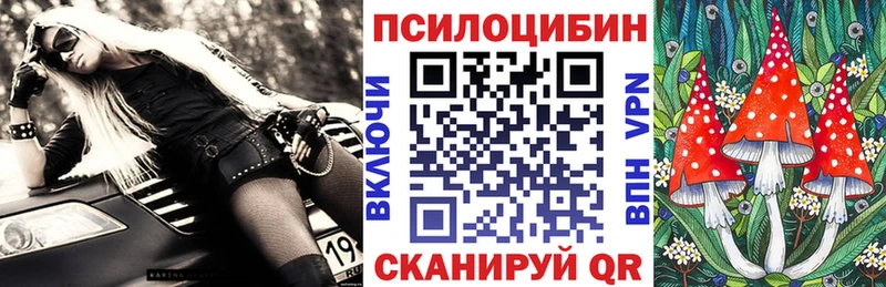 Галлюциногенные грибы Magic Shrooms  цена   Шагонар 